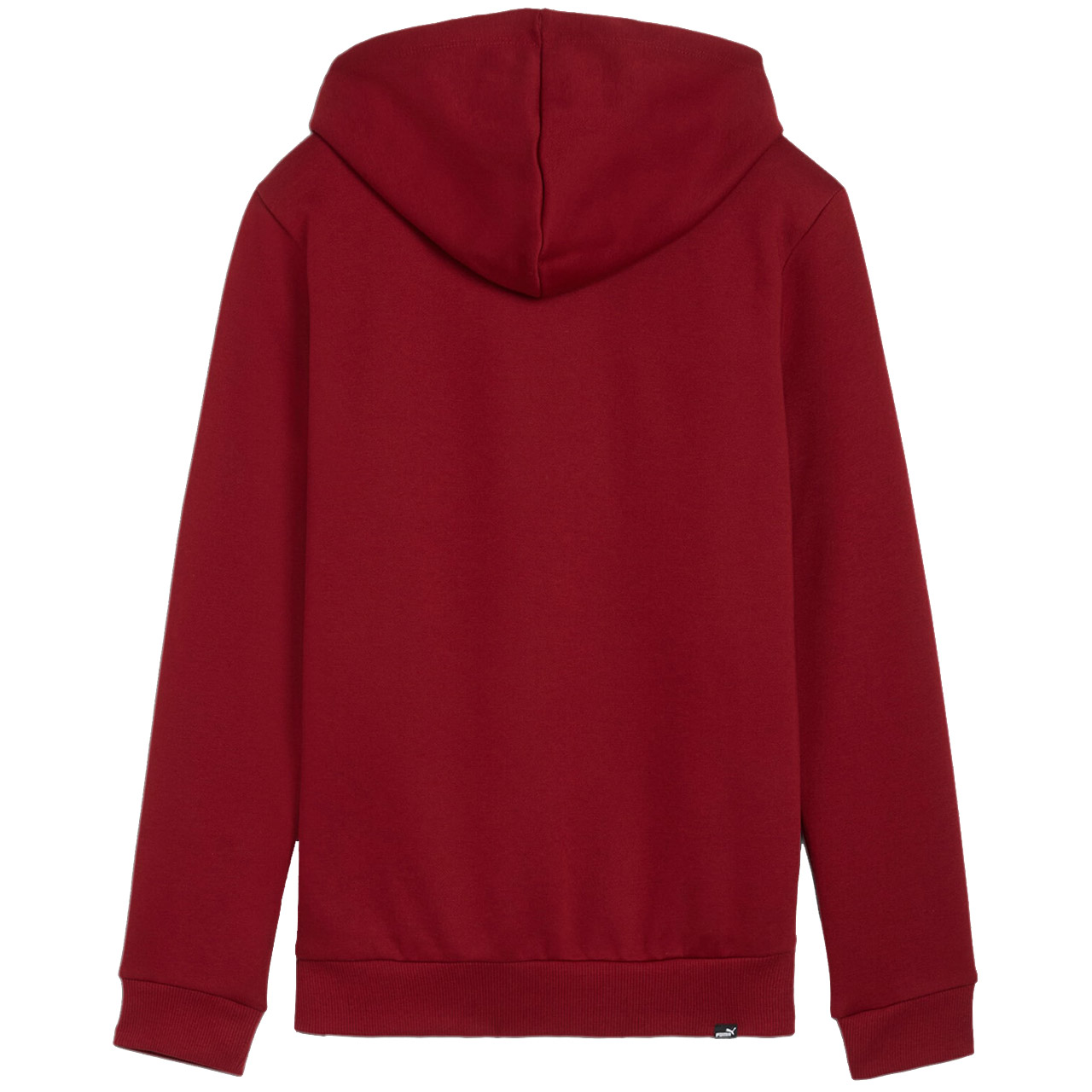 Bluza damska Puma Ess+ Logo LAB Hoodie FL bordowa – ujęcie 2
